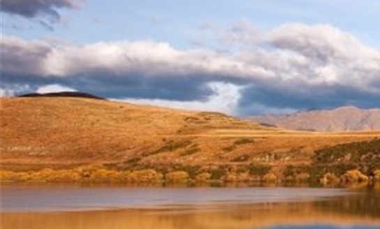 滴滴打车粉象生活