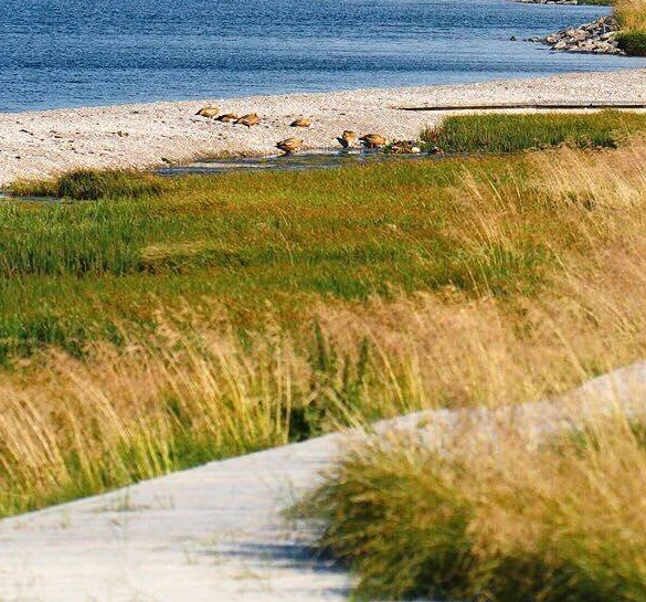 粉象生活新手怎么做