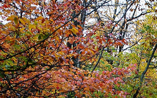 喜欢囤纸有问题吗