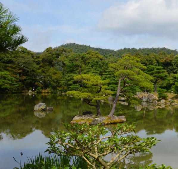 粉象生活怎么做才有粉丝
