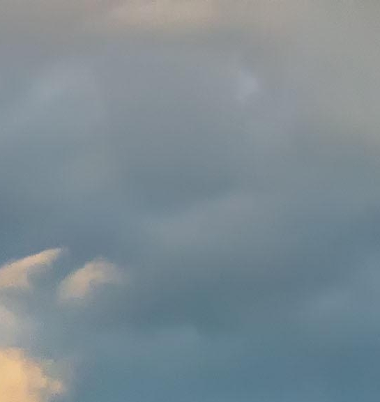 粉象生活推广现场