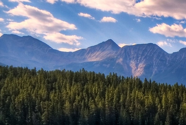 粉象生活官方邀请码哪一个是真的