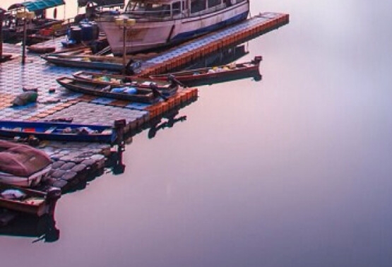 汕尾粉象生活加盟代理