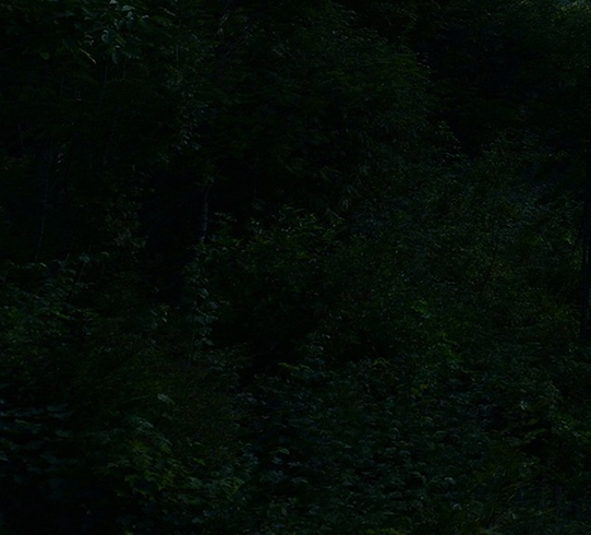 粉象生活邀请码