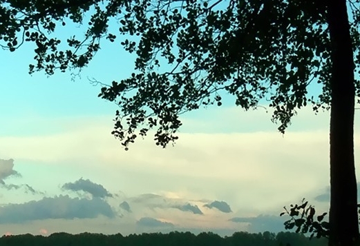 云浮粉象生活加盟