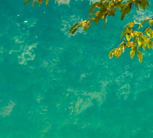 粉象生活加油好吗