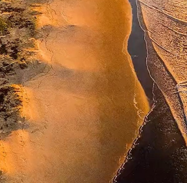 粉象生活一天几百是真是假