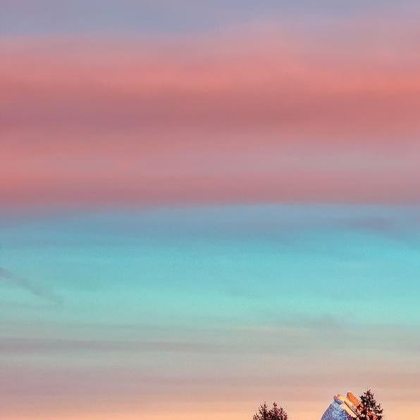 粉象生活不收钱