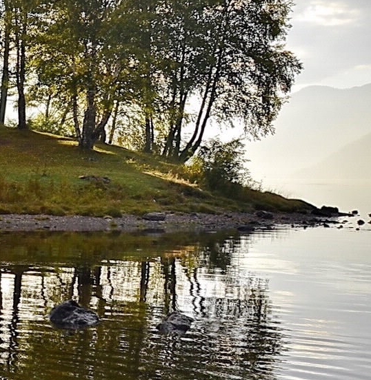 粉象生活快速推广的办法