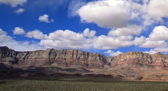 济宁粉象生活积分