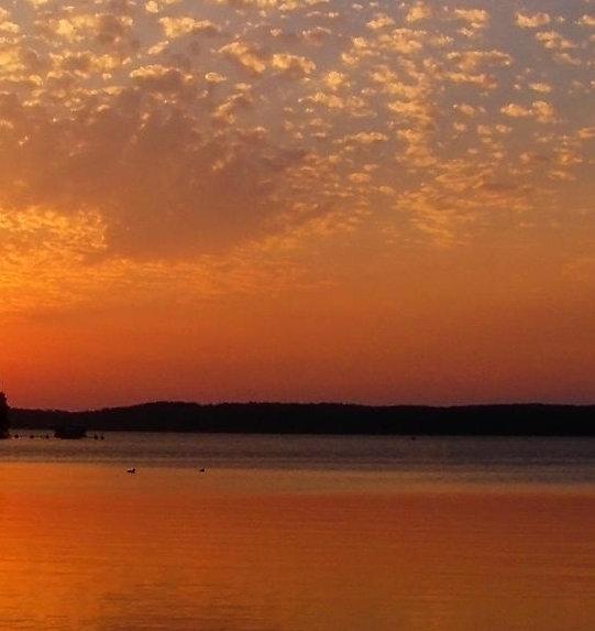 有王刚参演的所有电视剧生活