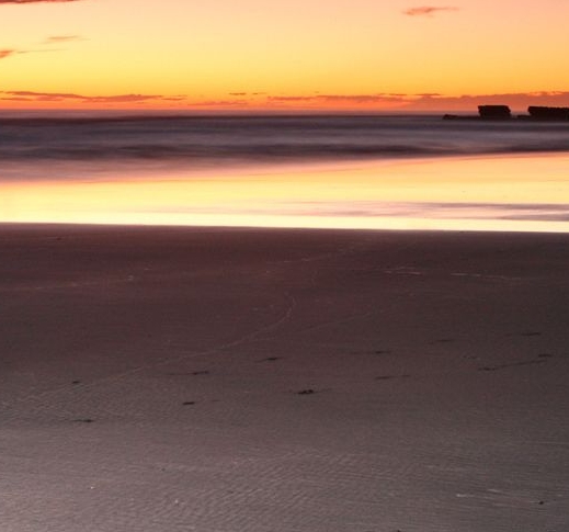 粉象生活闲鱼教程