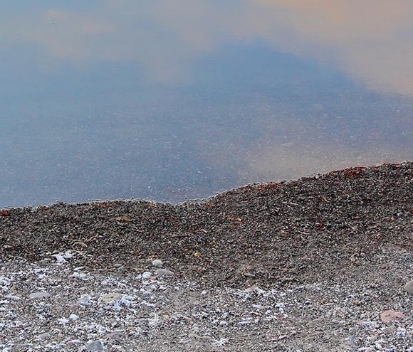 粉象生活成都峰会