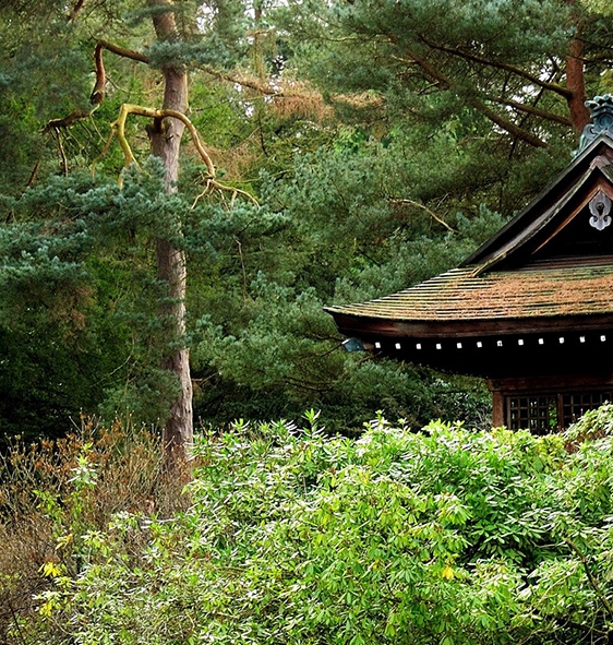 浙江河象网络科技