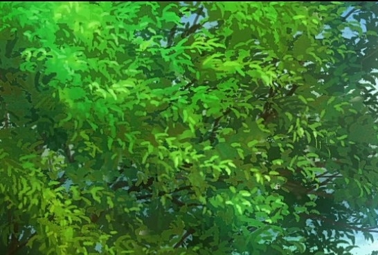 粉象生活下载app