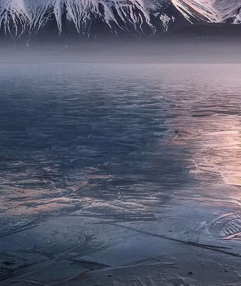 粉象生活软件安全吗