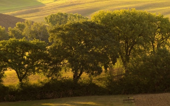 粉象生活咨询公益