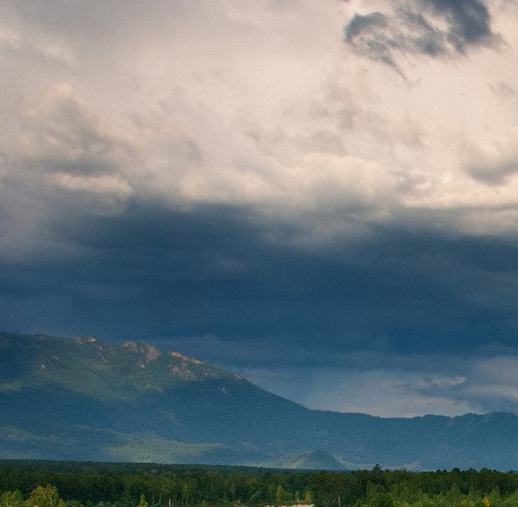 腾讯视频掌上生活