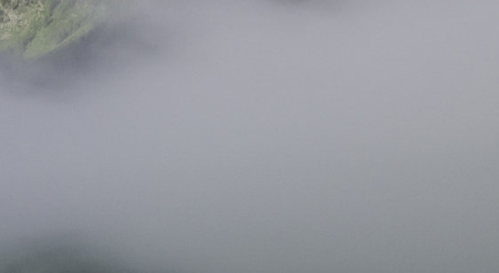 闪闪哥粉象生活