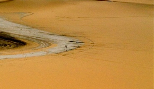 河南加盟粉象生活好不好