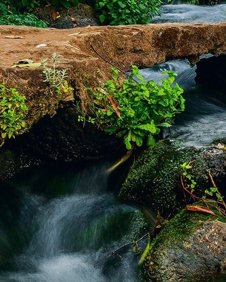 粉象生活头像可以修改吗