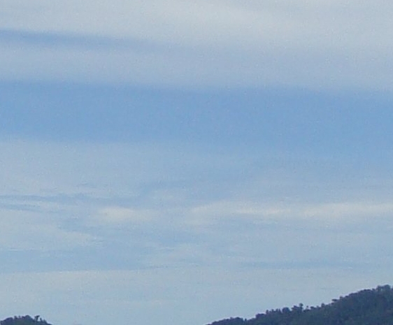 最近很火的粉象生活邀请码