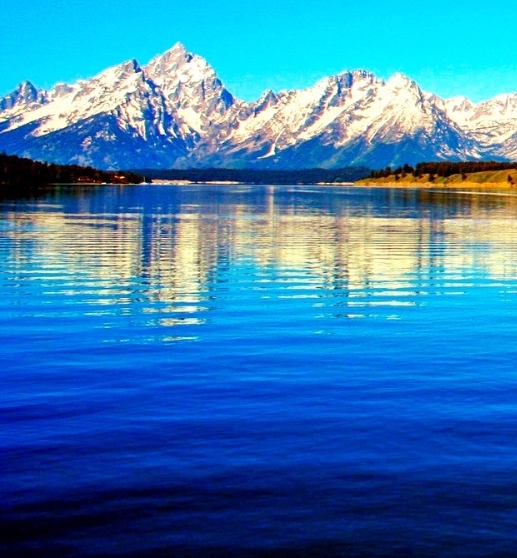 粉象生活app最新版