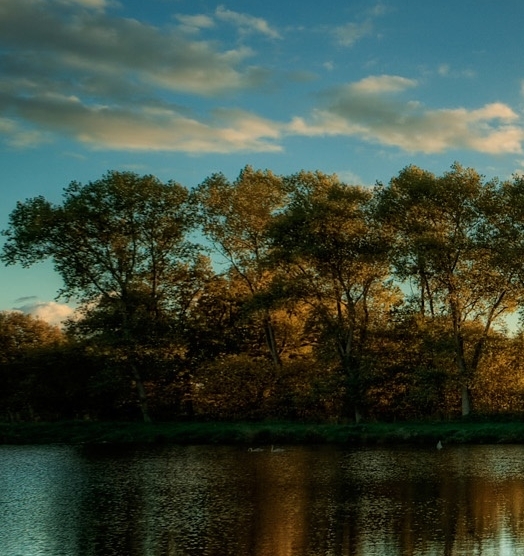 厦门粉象生活推广