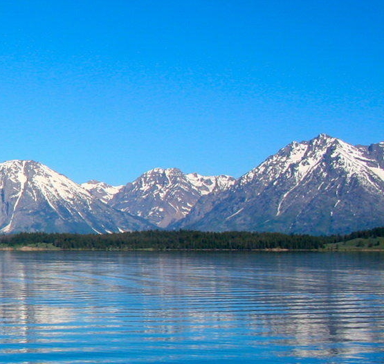 粉象生活投广告