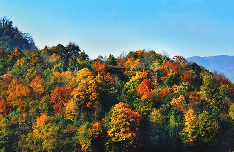 粉象生活赚钱教程