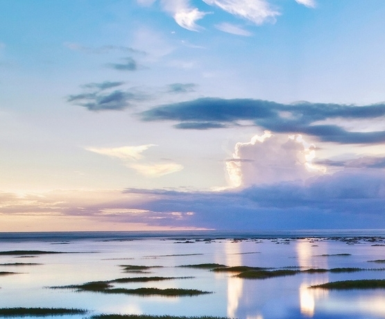 泰安粉象生活推广