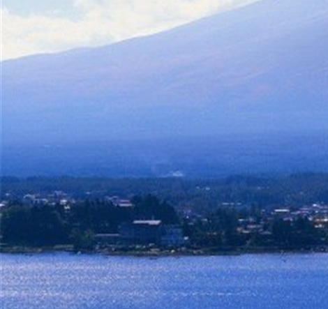 粉象生活适合干嘛