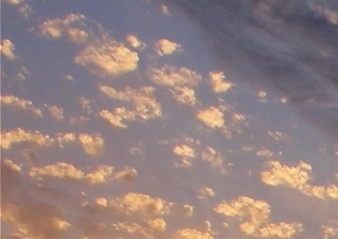 粉象生活怎么去推广