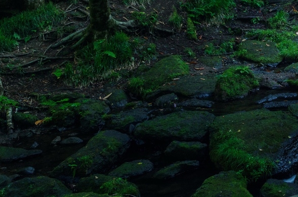 有没有跟粉象生活类似的软件