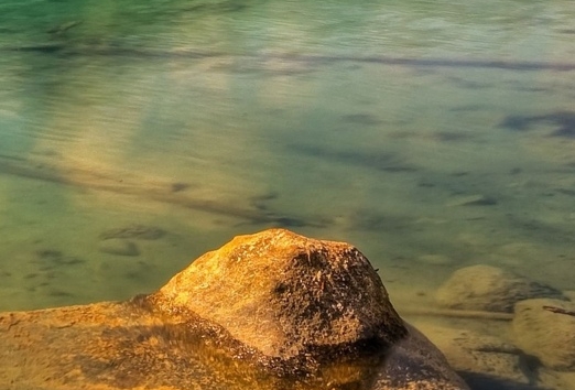 粉象生活可以赚钱吗