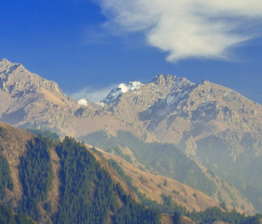 济南粉象生活电话