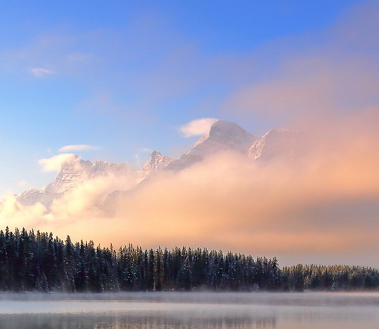 粉象生活推荐机制