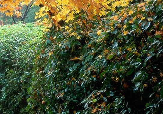 无锡年收入多少可以生活