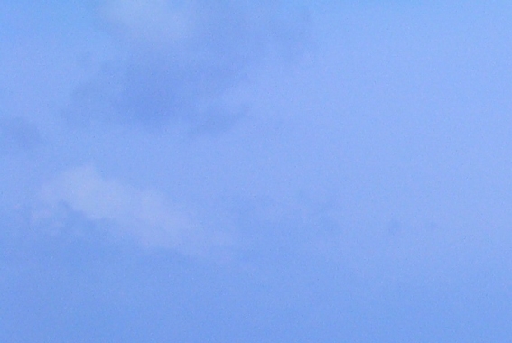 粉象生活买东西怎么退货