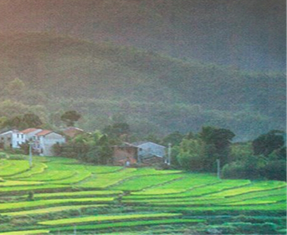 粉象生活升级后大概几天才看到收入