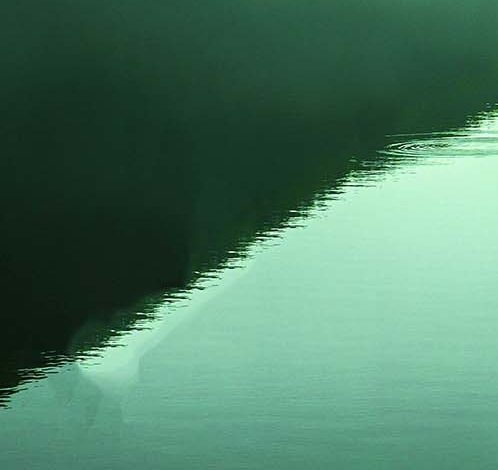 粉象生活购物分享