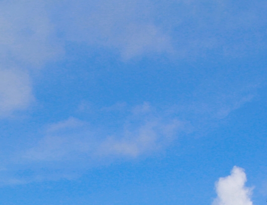 河源最象的图片