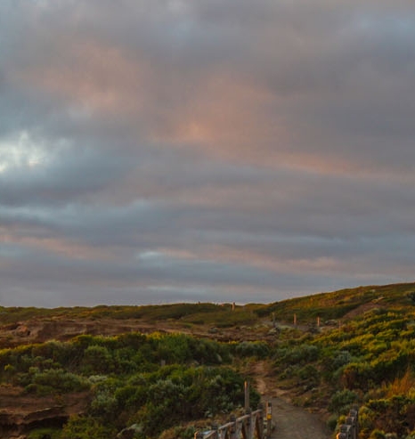 粉象生活返利软件