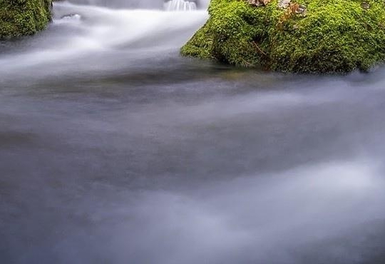 粉象生活任务大厅截图