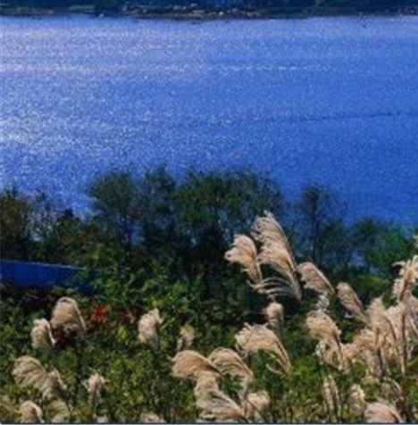 宁波正规粉象生活邀请码