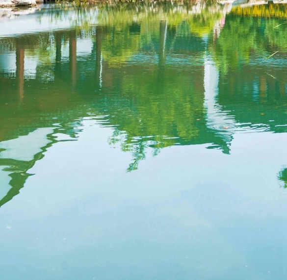 粉象生活下载app