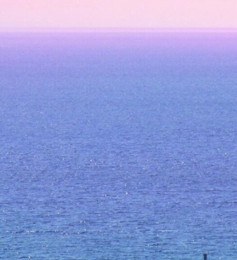 粉象生活恶意攻击