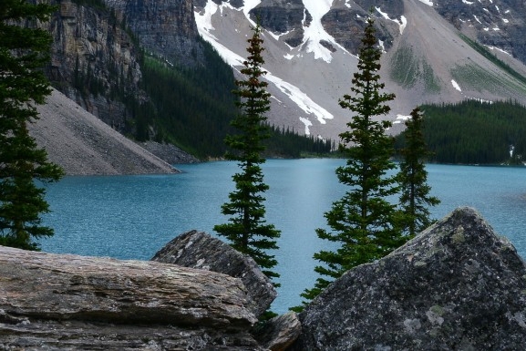 菏泽粉象生活入住收入