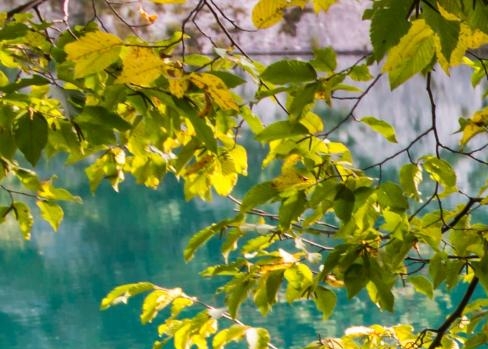 粉象生活赚佣金是真的吗