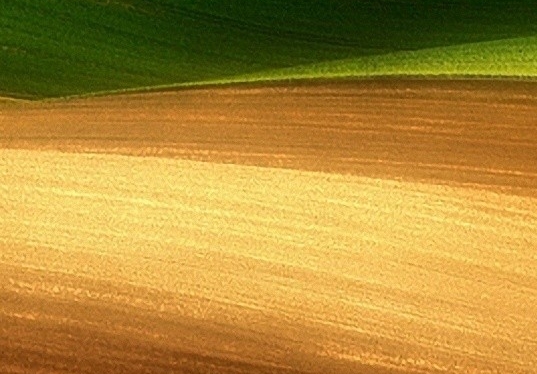 粉象生活下载app